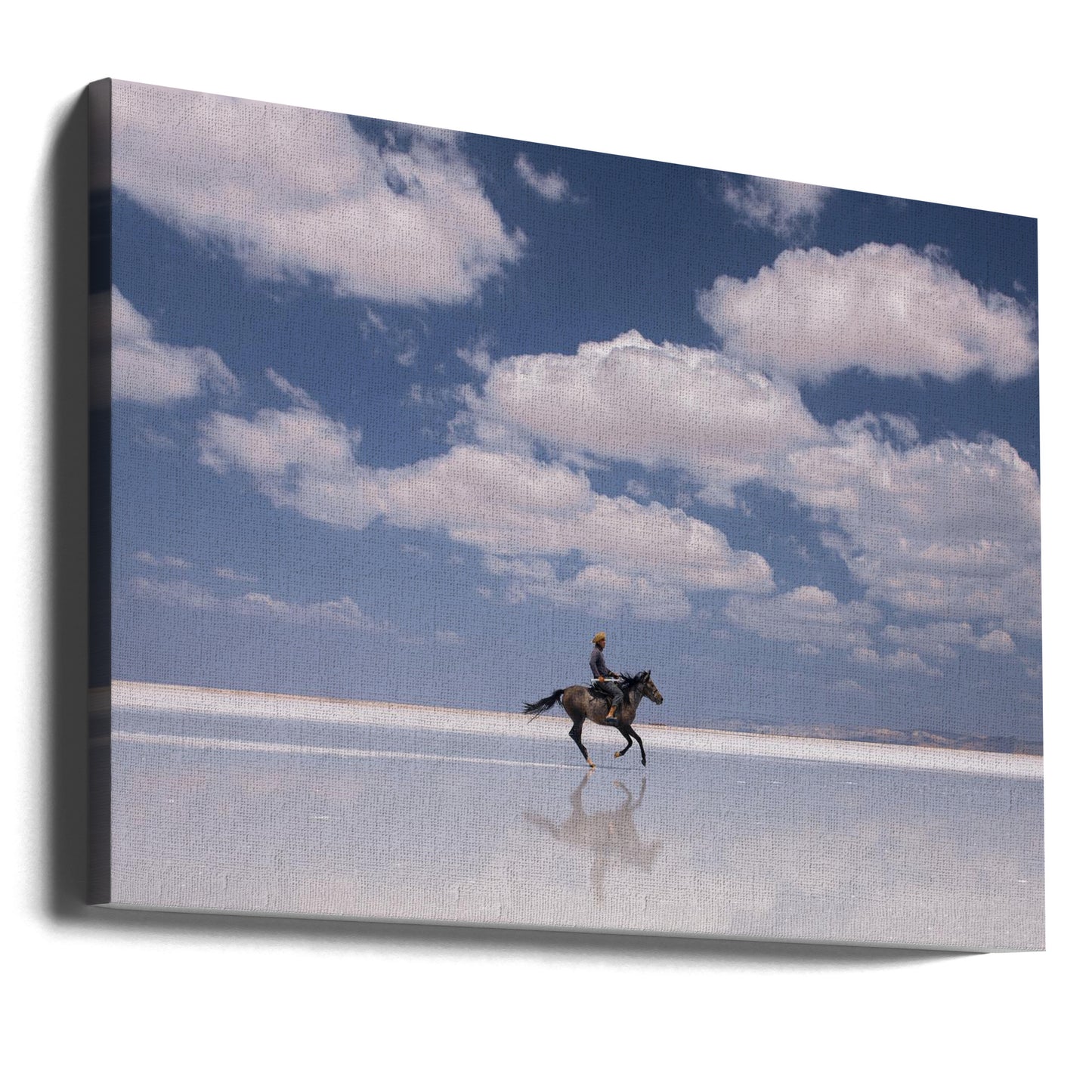 Zoute Ruiter | Canvasprints