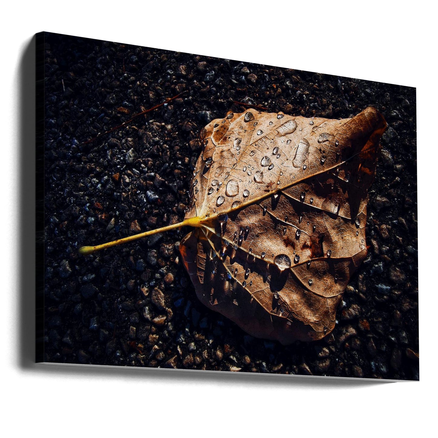 Löv | Canvas