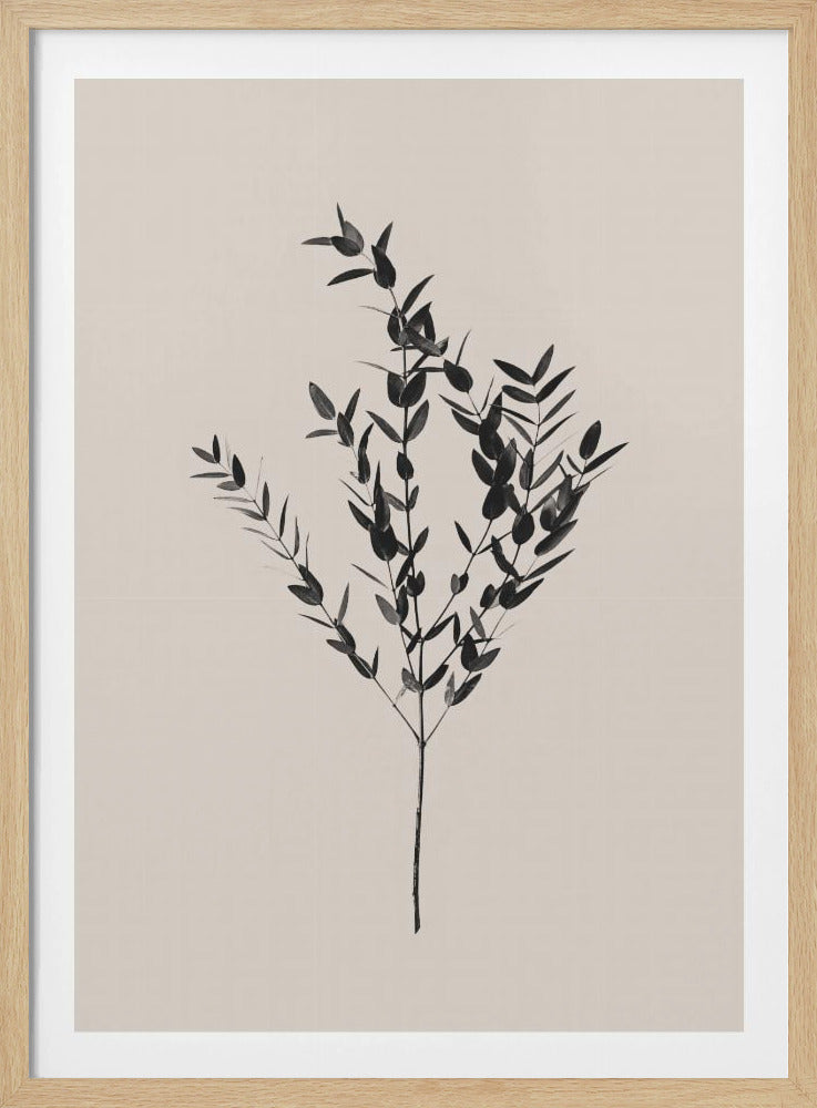 Botanico Inchiostro | Poster - Stampe d’Arte