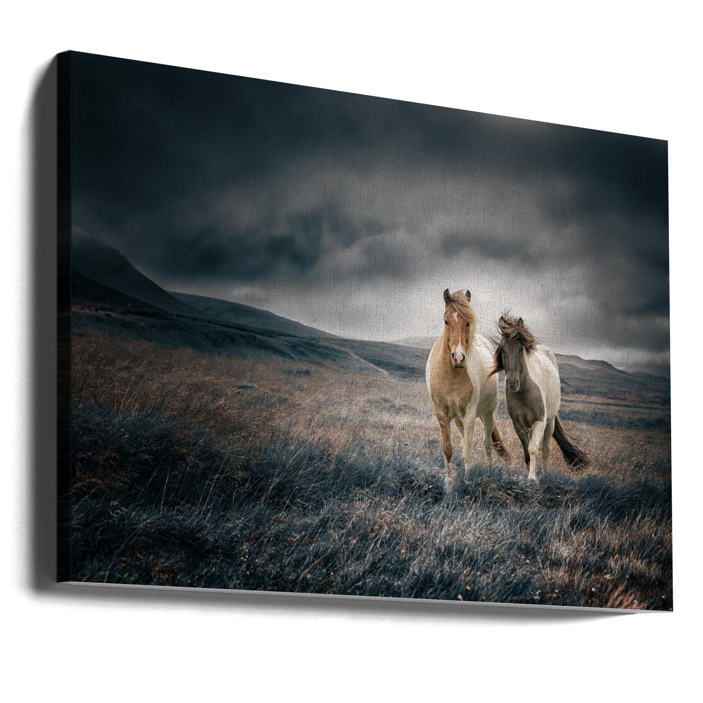 Bröderna | Canvas