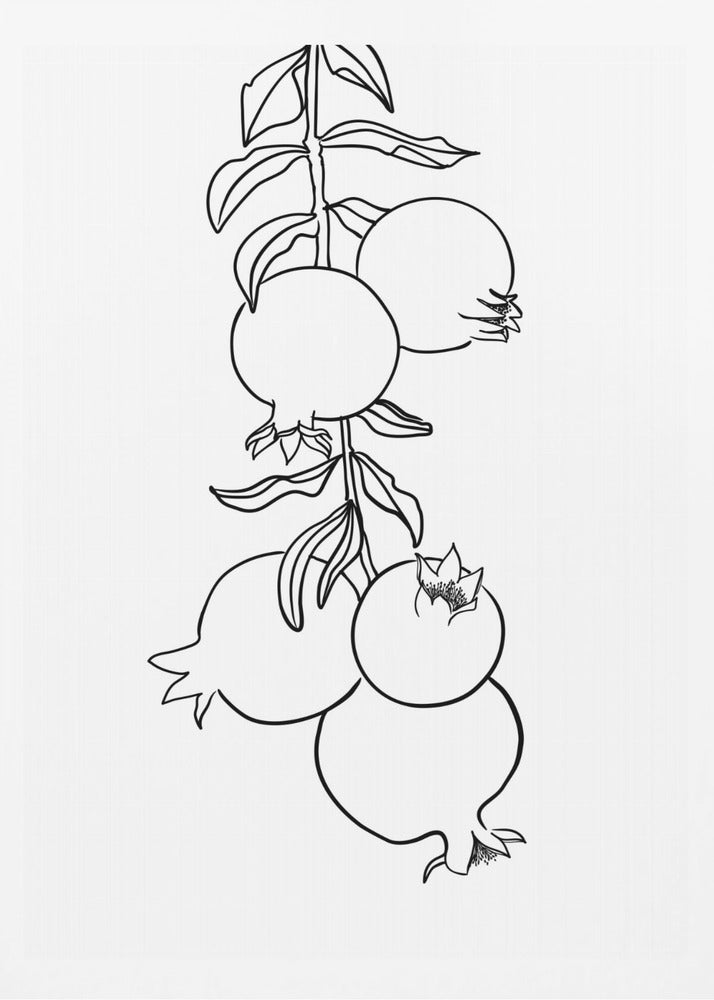 Granatæblegren | Plakater - Kunsttryk