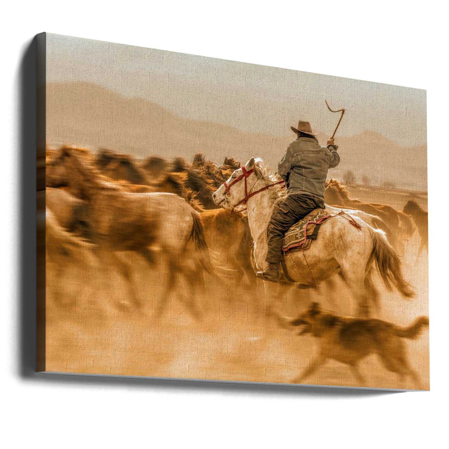 Wild horses (aka Yılkı Atları) | Canvas