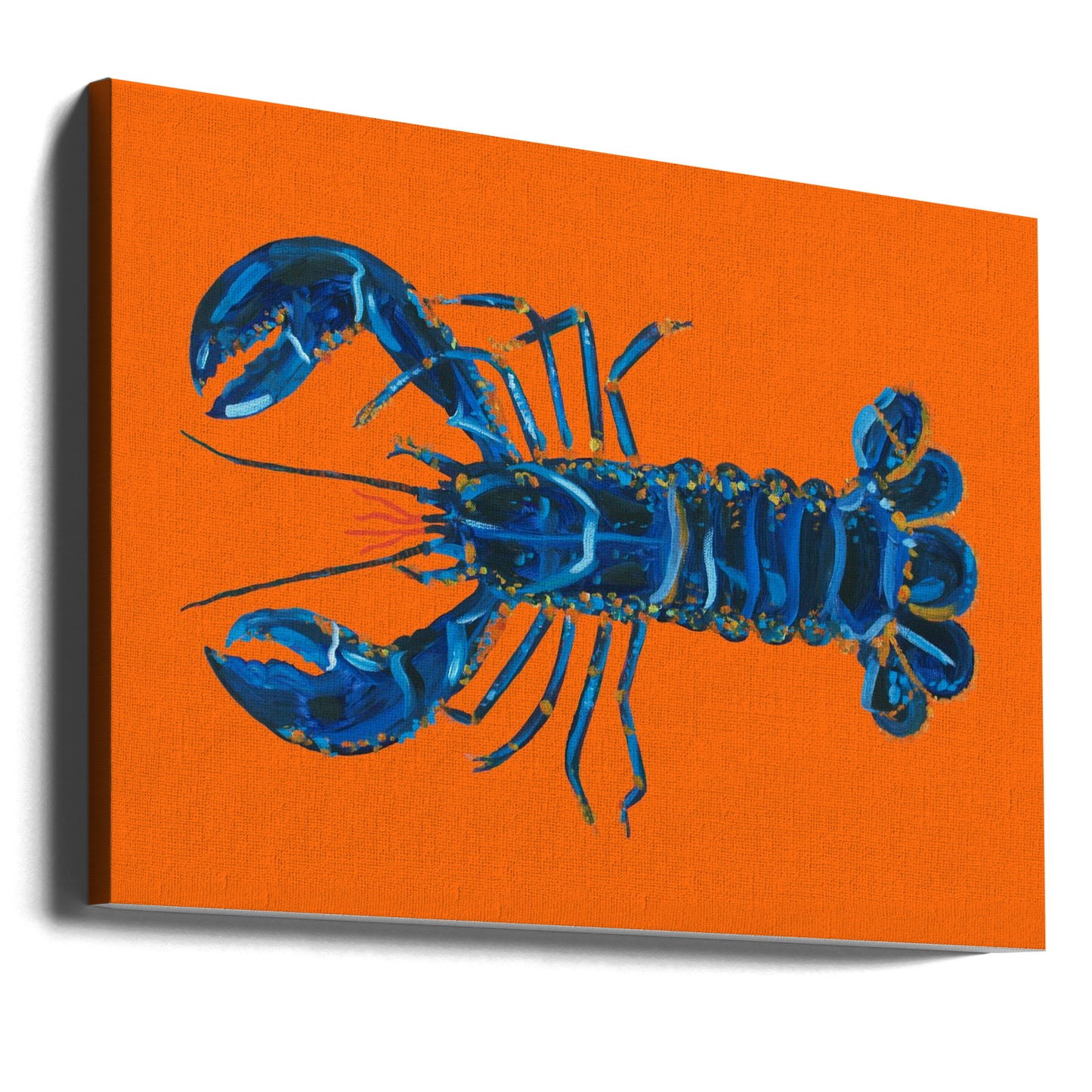 Hummer på apelsin | Canvas