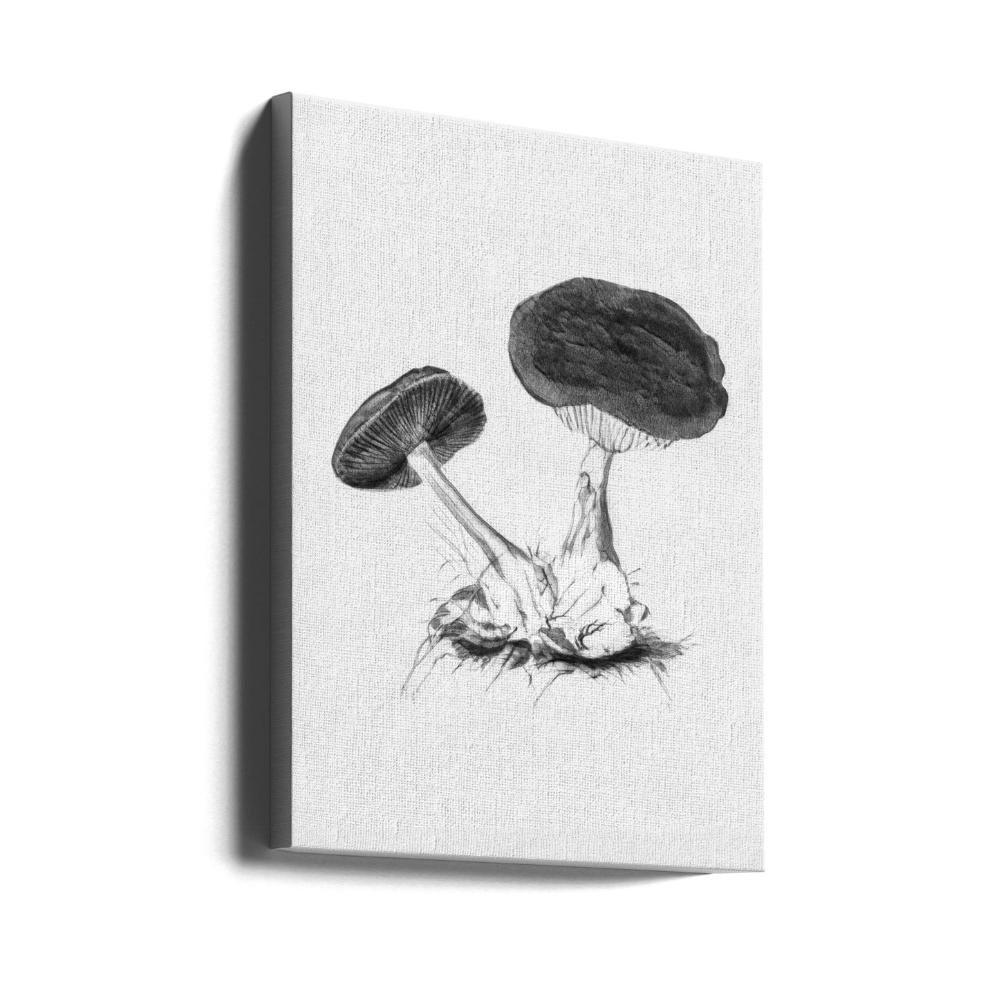 Vintage Violett Webbmössa Svamp Ljus BW | Canvas