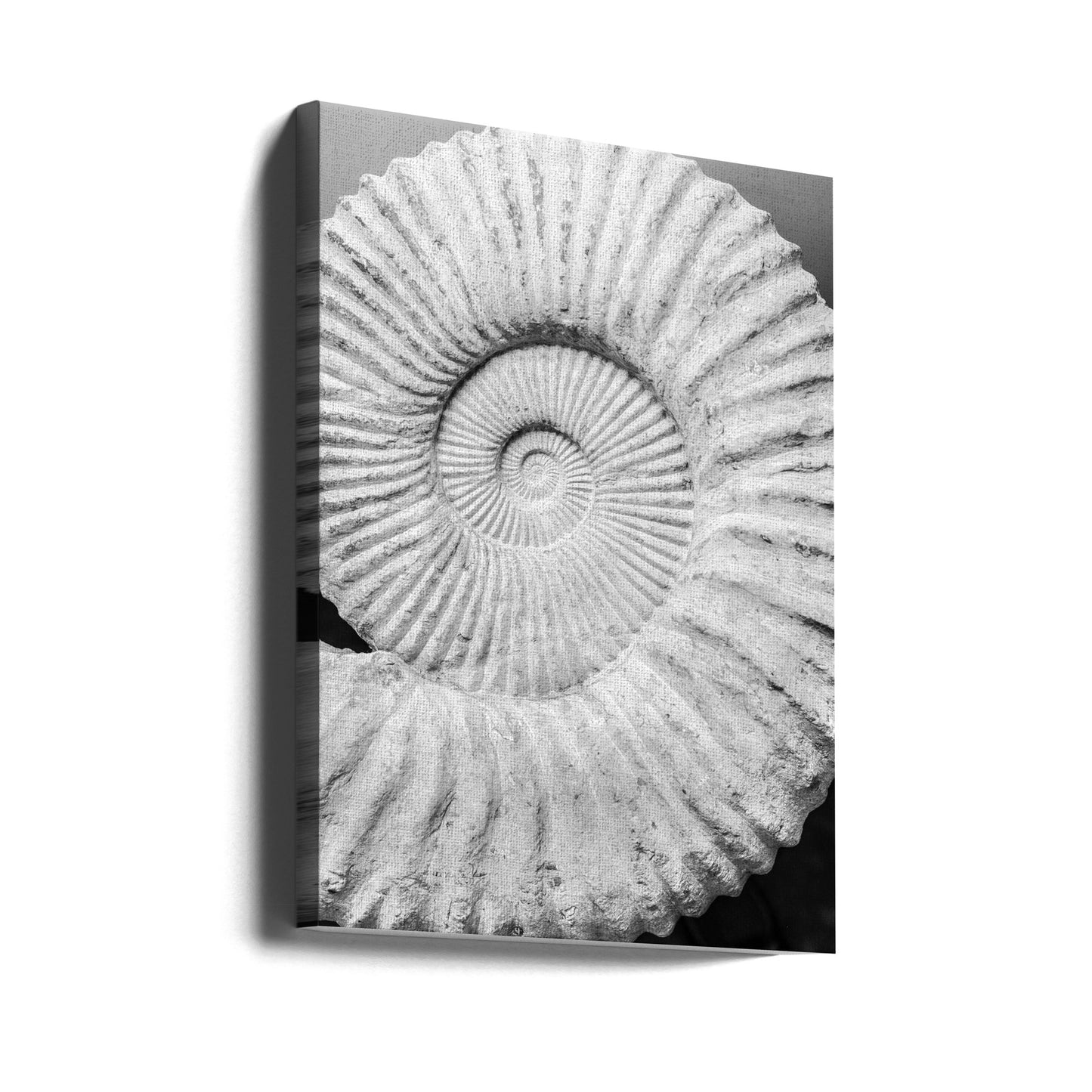 Formel | Canvas