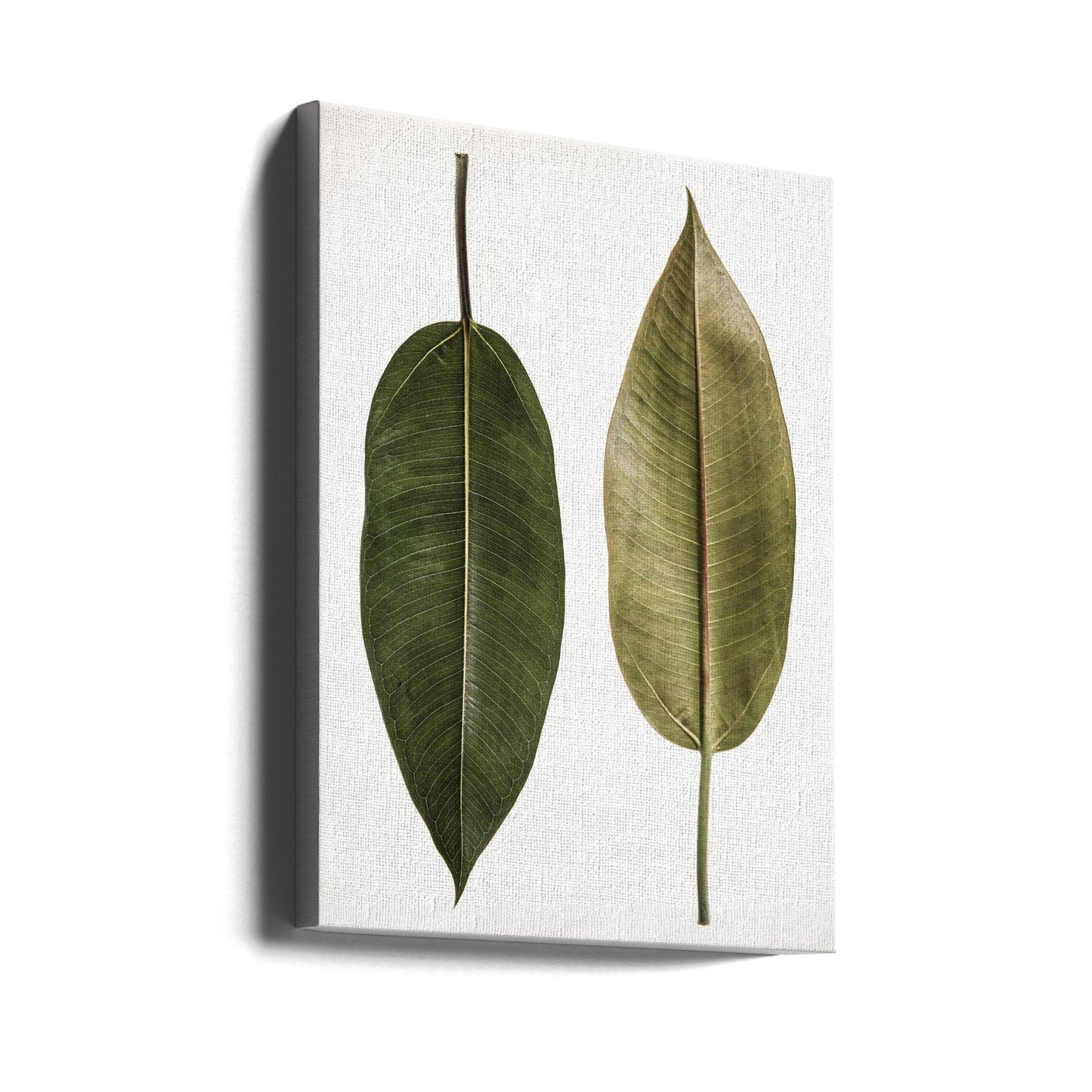 Lövstudie 05 | Canvas