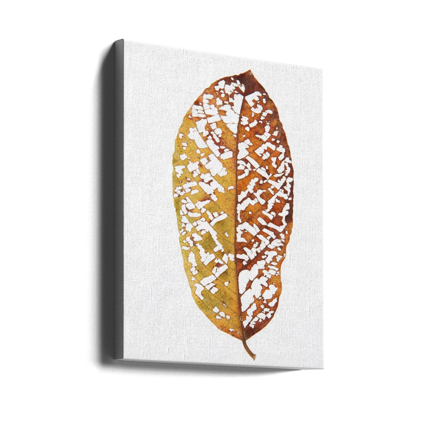 Regnskogslöv 02 | Canvas