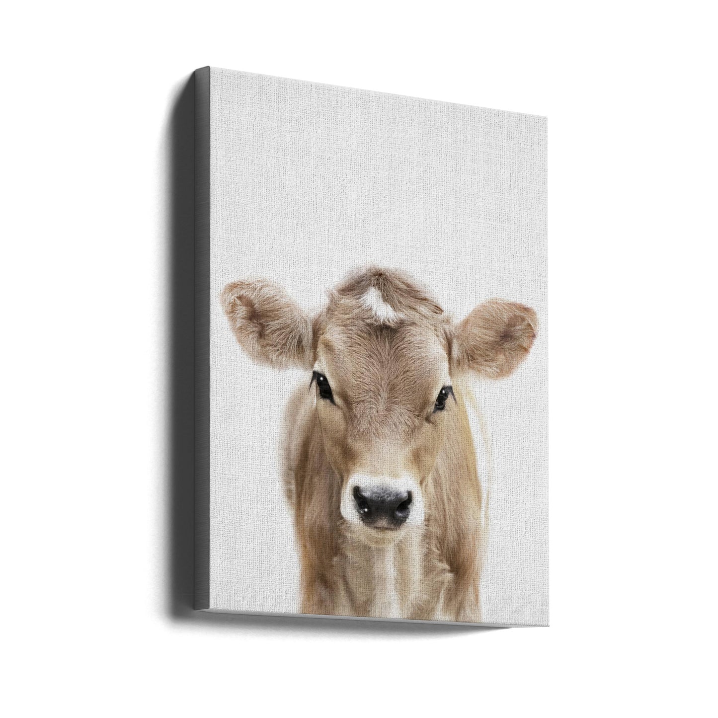 Coucou bébé vache | Tableaux sur Toile