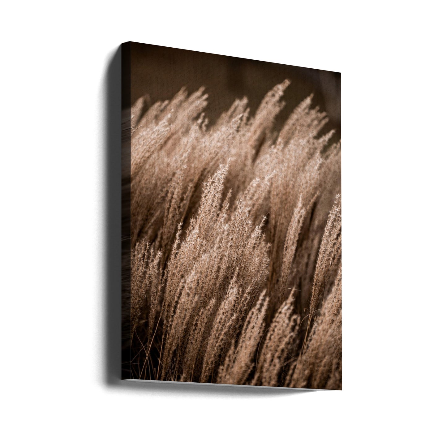 Gräs 16 | Canvas