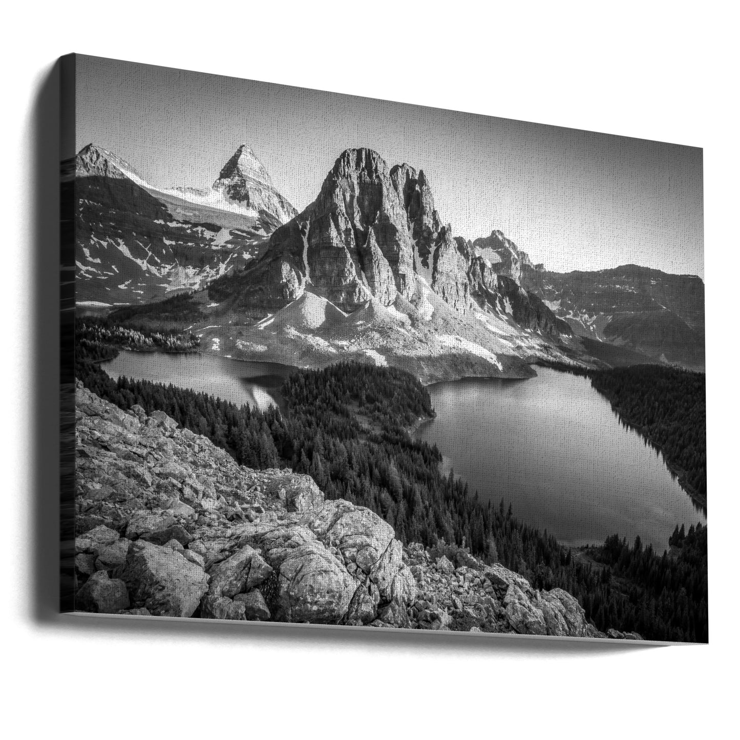 assiniboine | Canvasprints