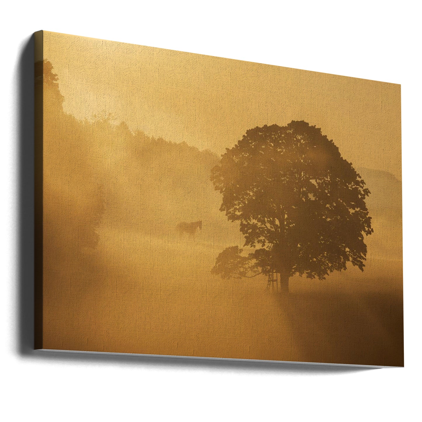 höstmorgon | Canvas