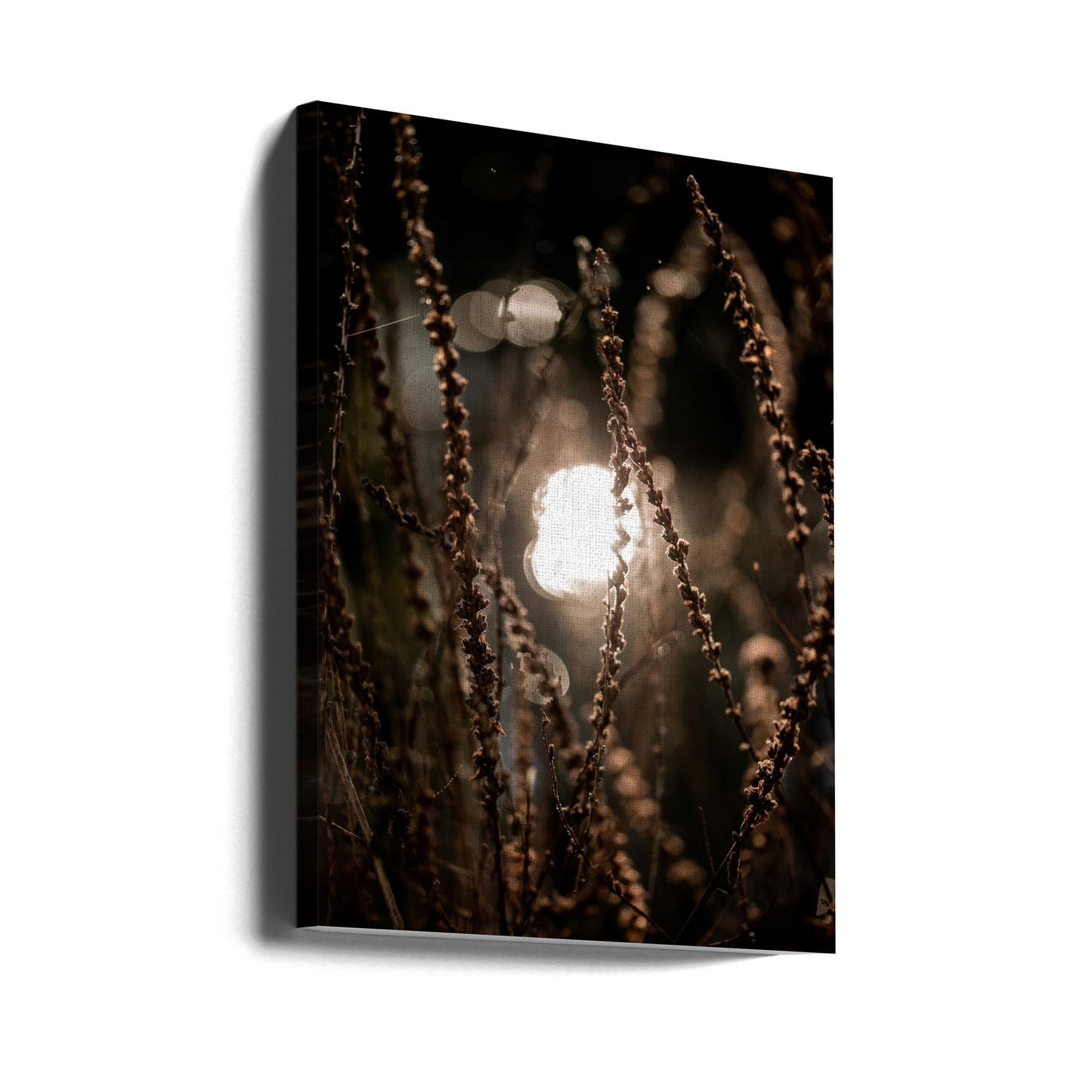 Luces de otoño 2 | Impresiones en Lienzo