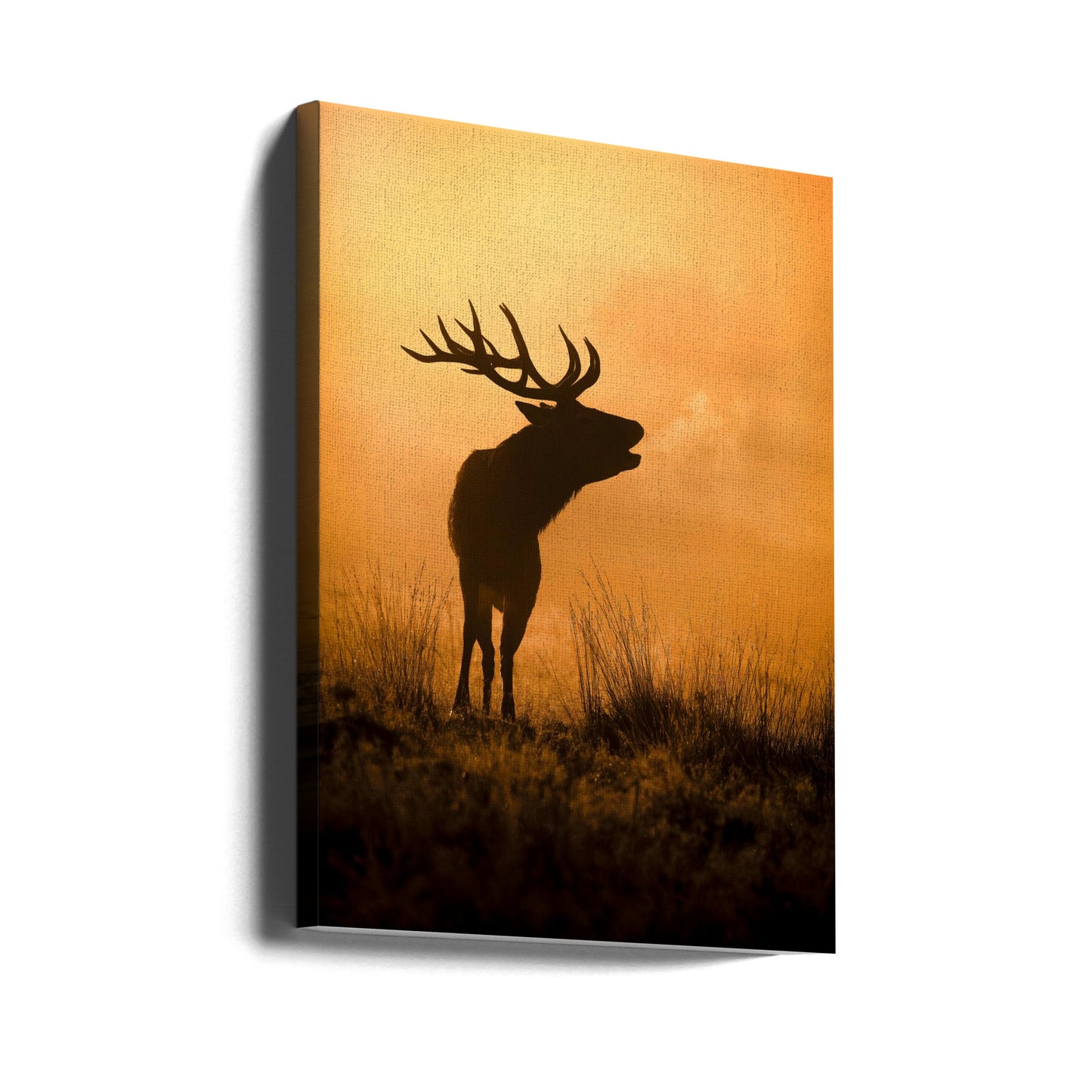 Morgonsamtal | Canvas