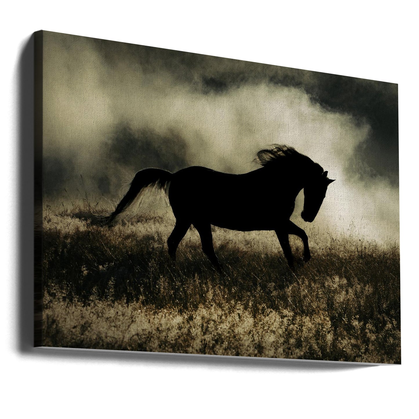 en kort berättelse om morgonglorian | Canvas