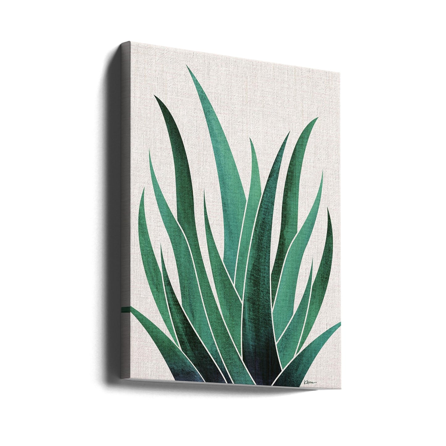 Cactus agave del desierto | Impresiones en Lienzo