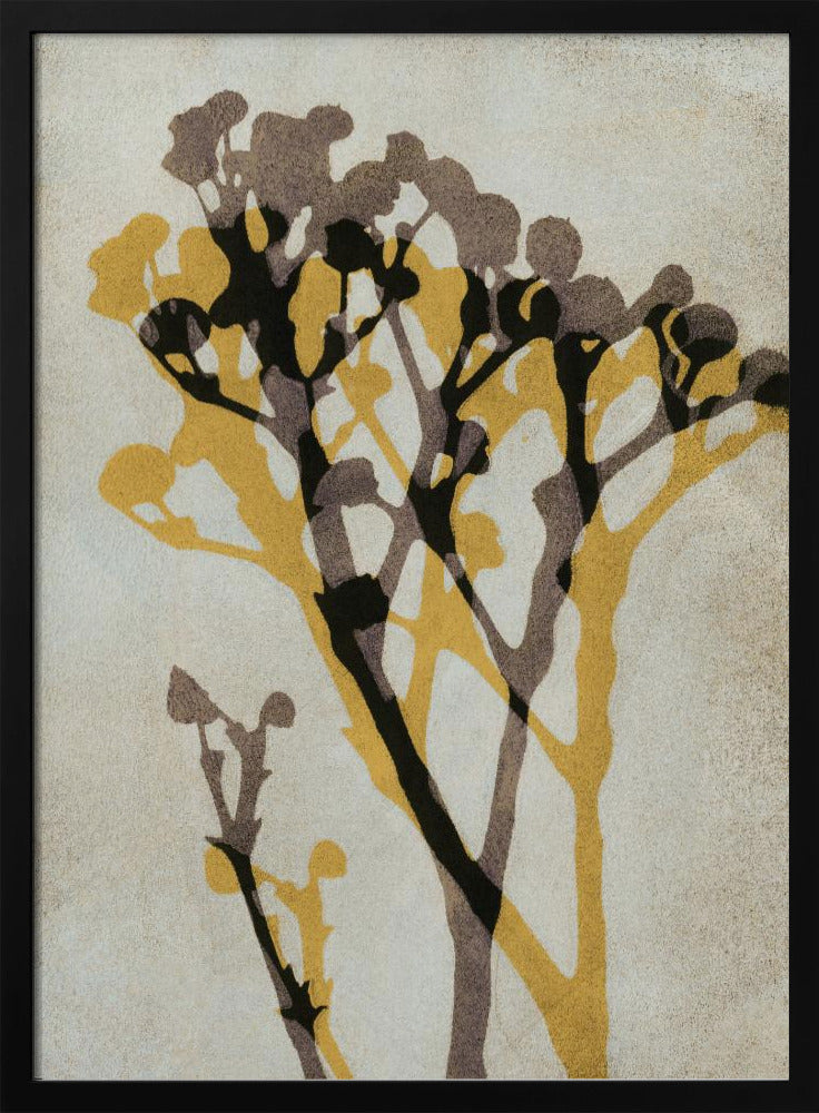 Echoes of Gypsophila | Poster