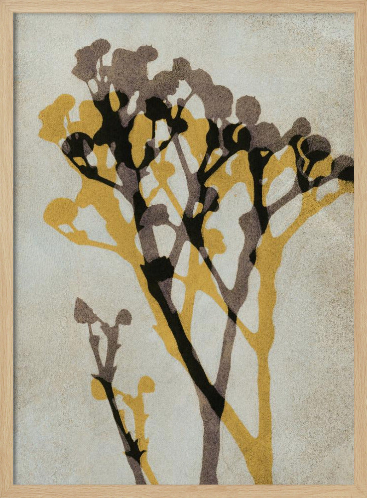 Echoes of Gypsophila | Poster