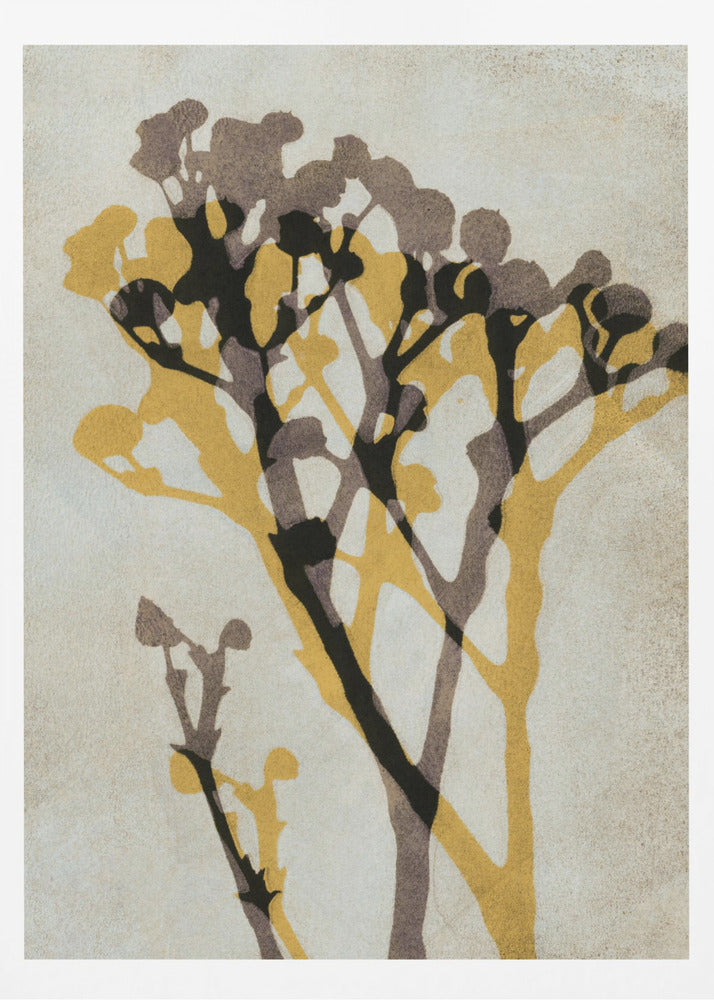 Echoes of Gypsophila | Poster
