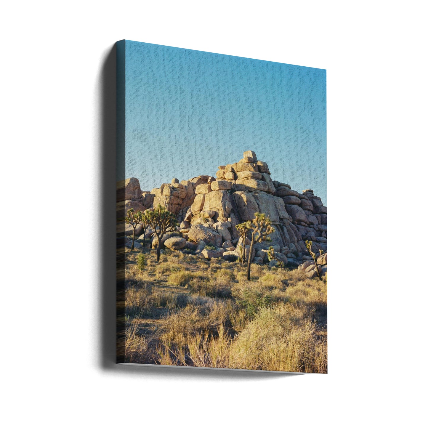 Tramonto a Joshua Tree | Stampe su Tela