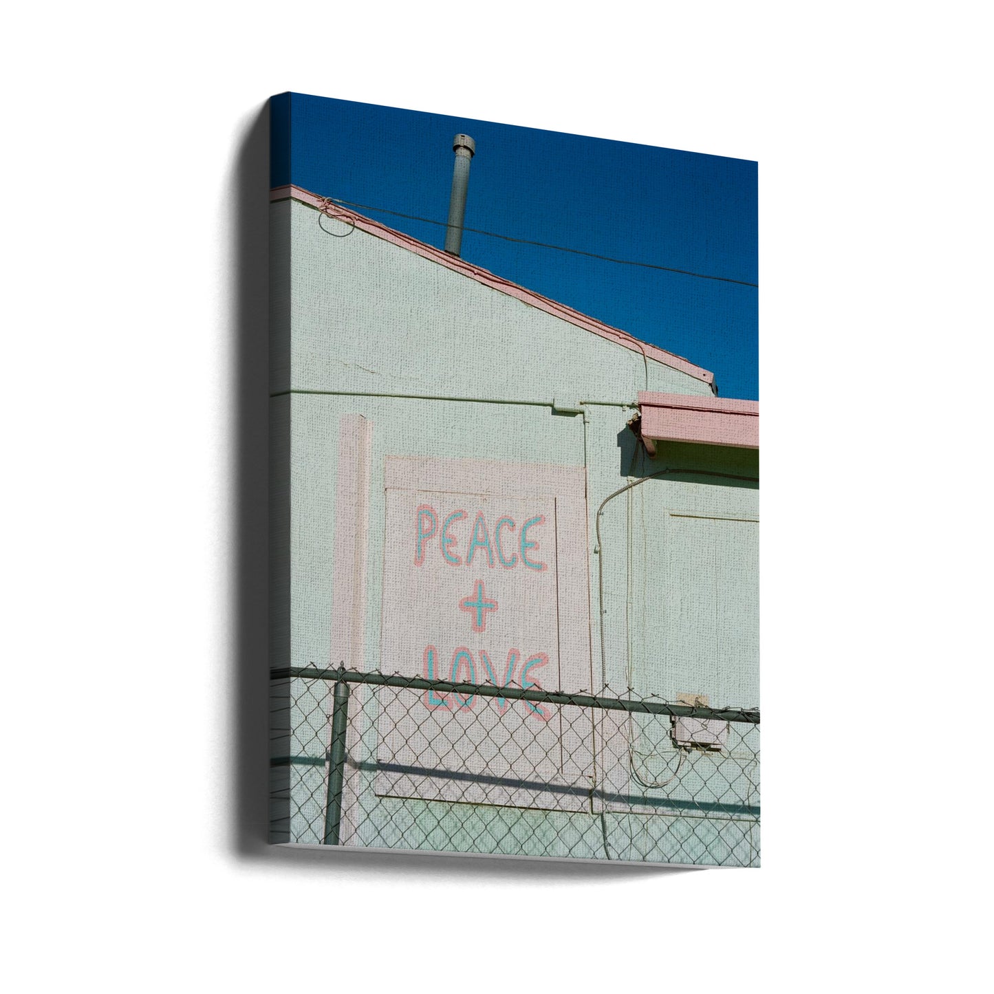 Joshua Tree Fred | Canvas
