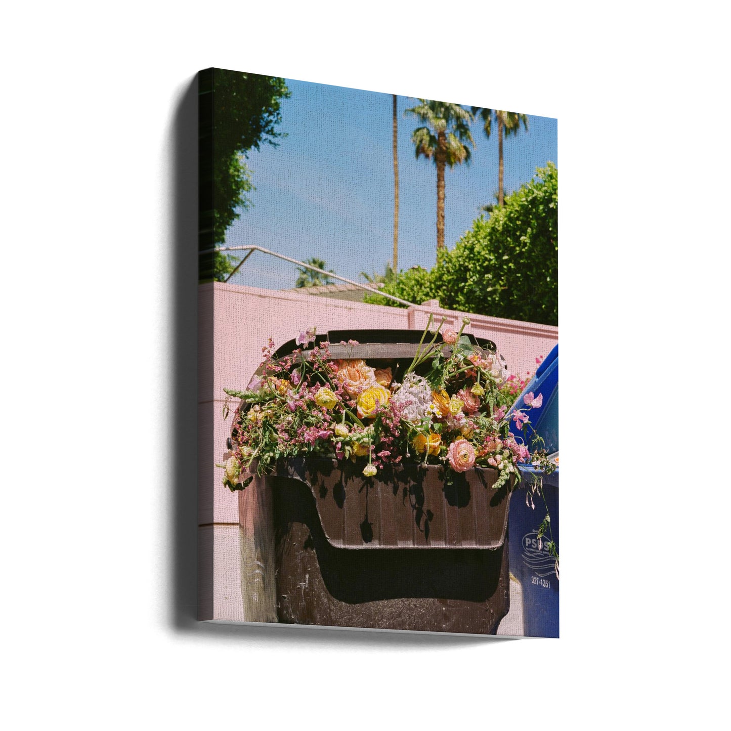 Krawężnik Palm Springs | Wydruki na łótnie