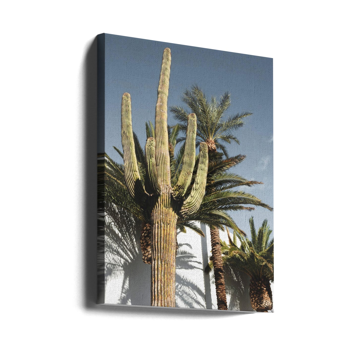 Kaktus Las Vegas | Canvas