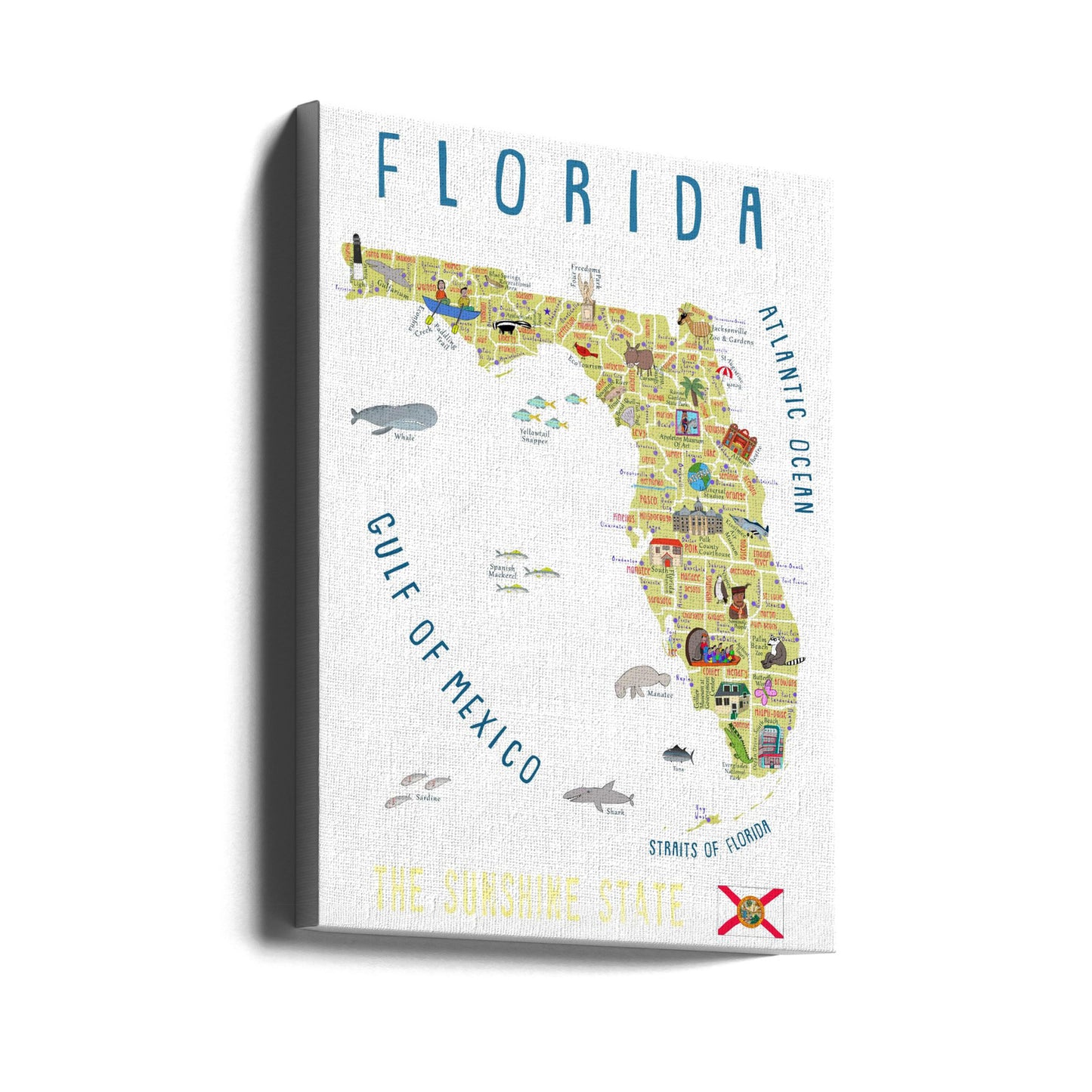 Kuvitettu Floridan kartta taiteilija Carla Dalyn toimesta | Canvastaulut