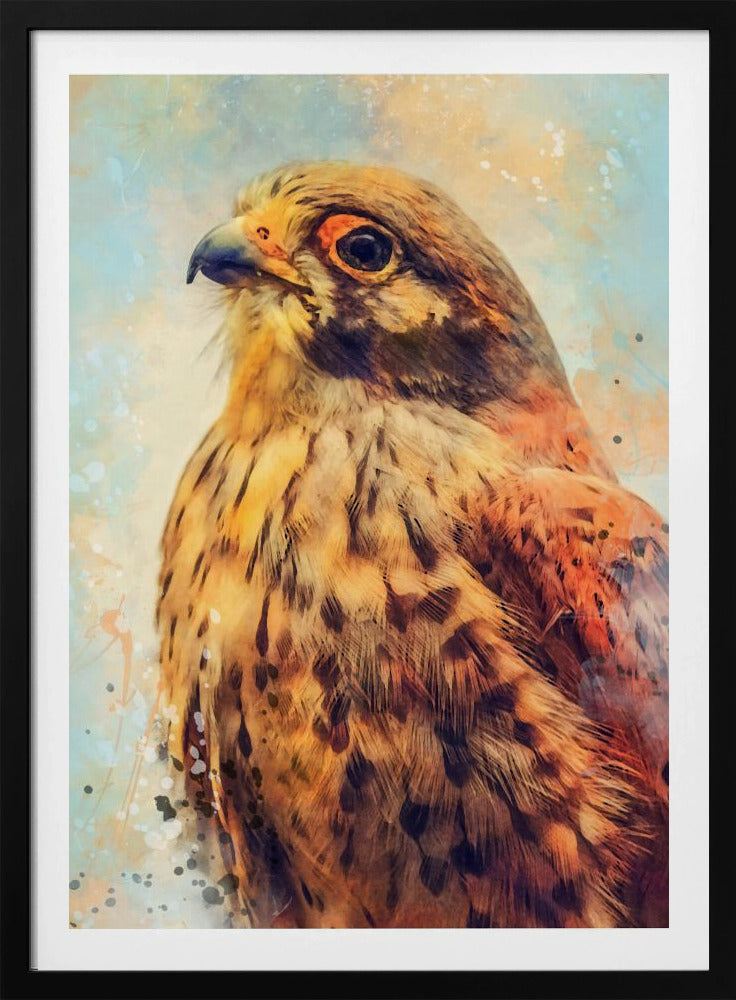 Tier Turmfalke Aquarell Tierkunst | Poster