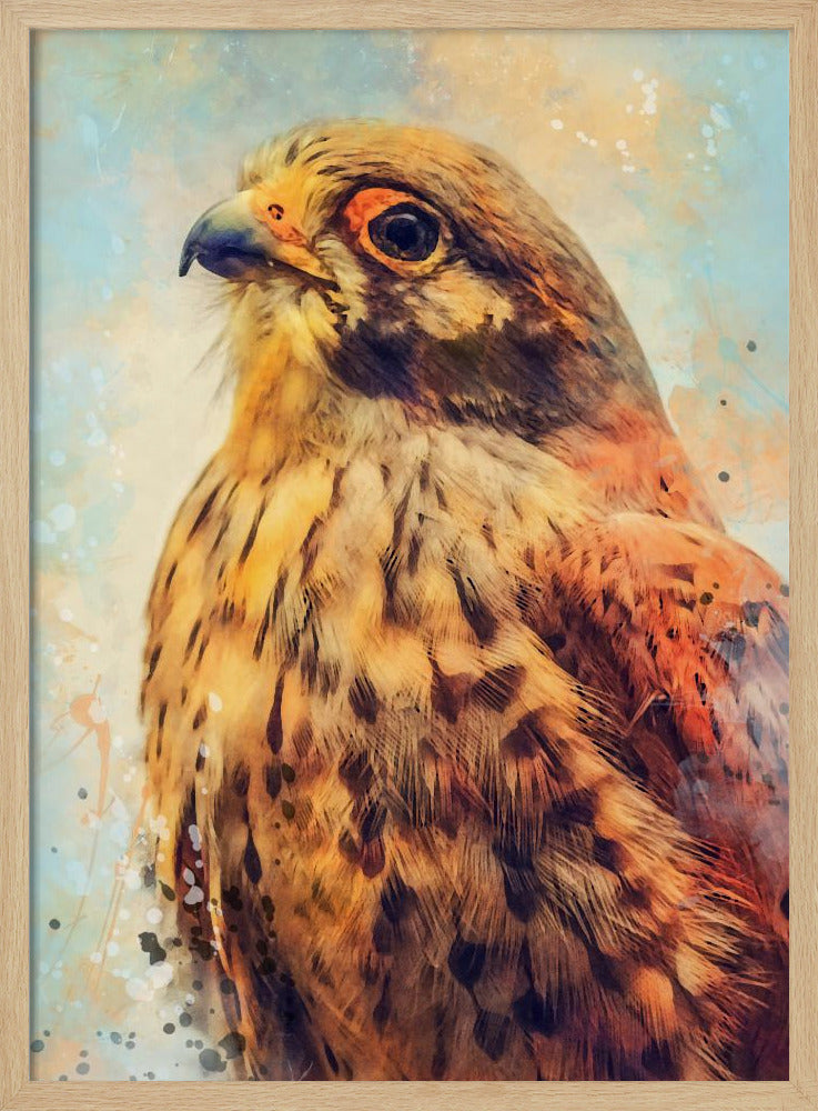 Tier Turmfalke Aquarell Tierkunst | Poster