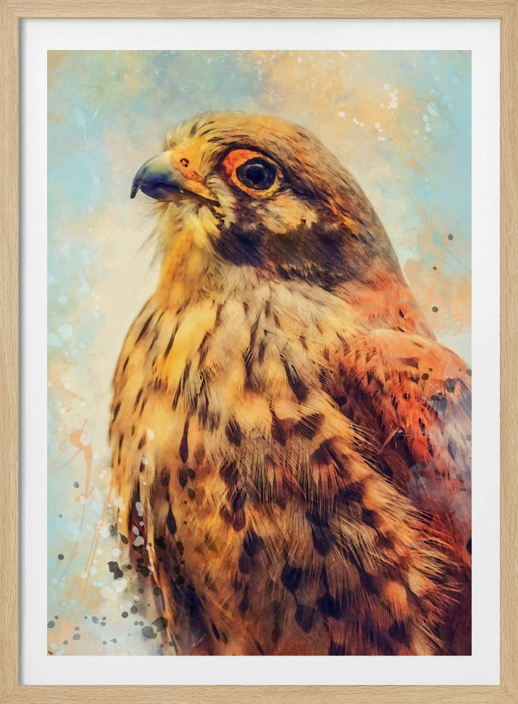 Tier Turmfalke Aquarell Tierkunst | Poster