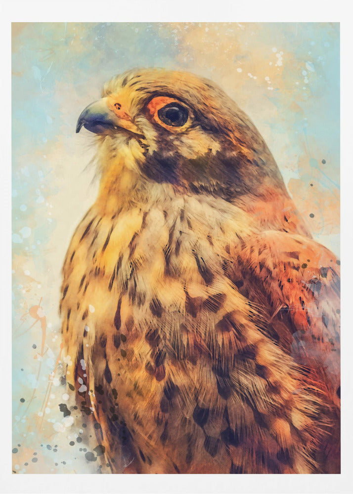 Tier Turmfalke Aquarell Tierkunst | Poster