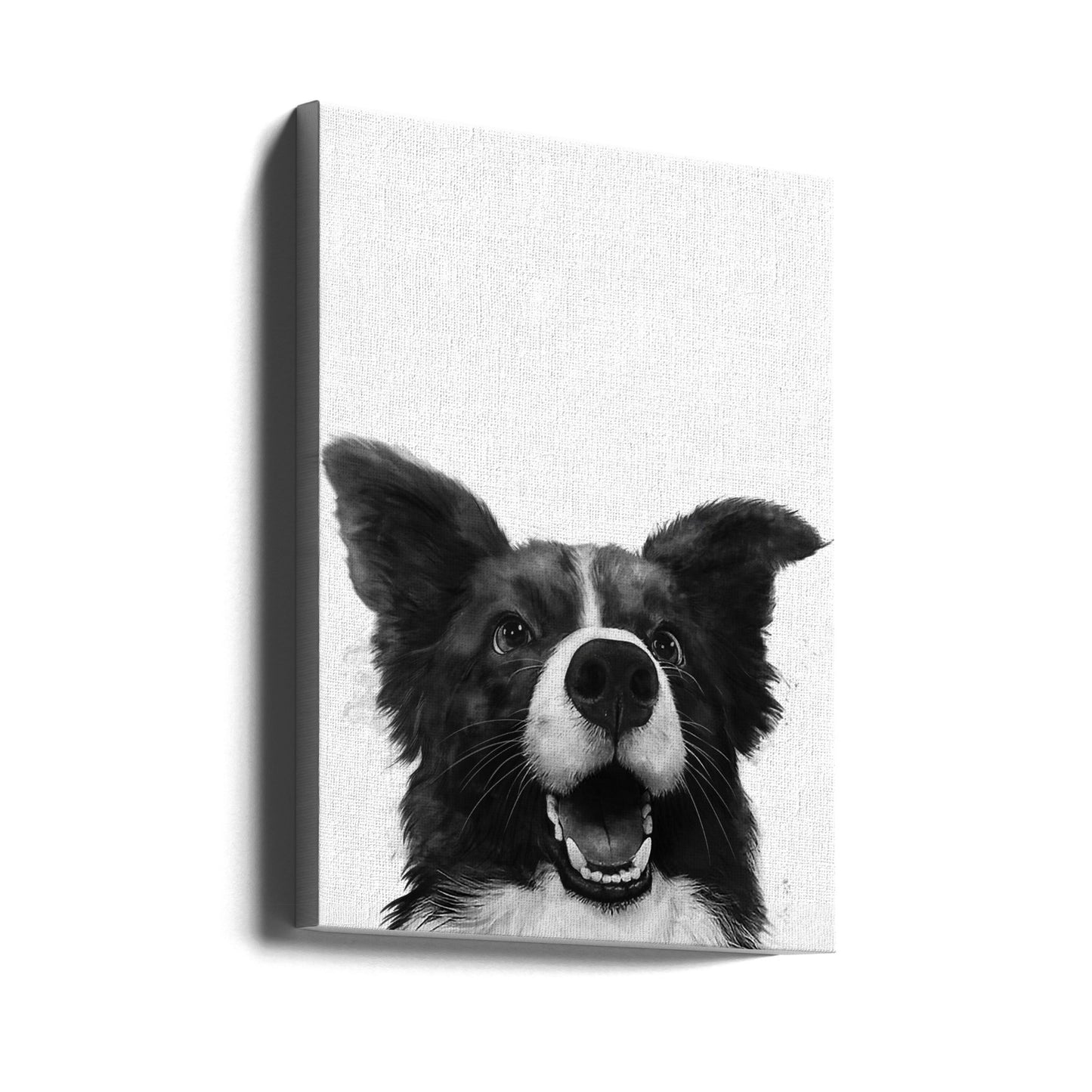 Glædesfuldt hundeblik | Lærredsbilleder