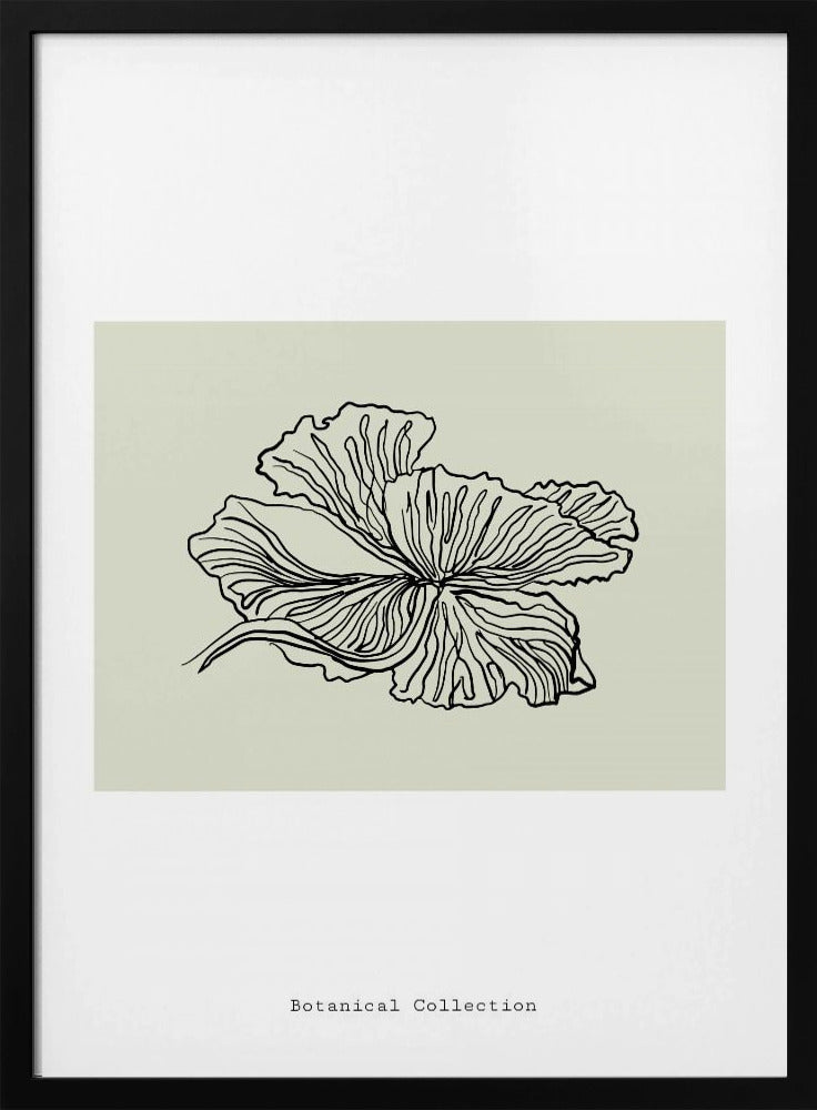 Gossamer Petals | Poster