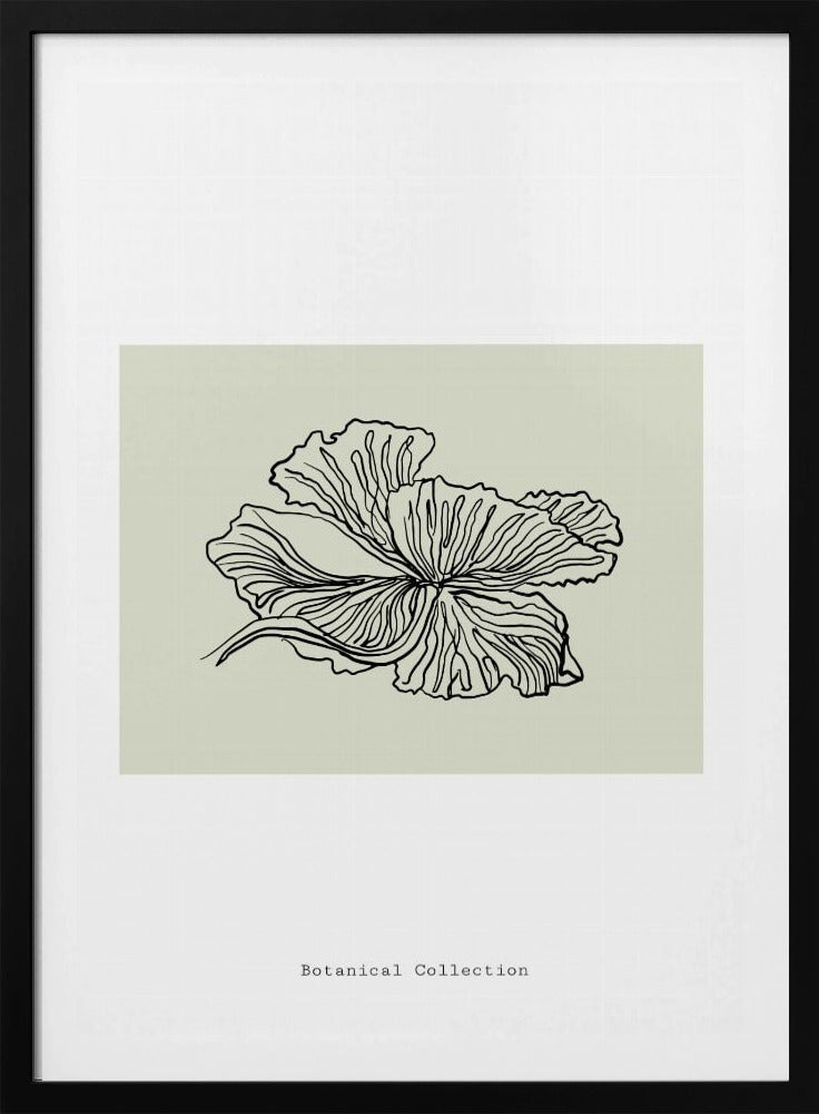 Gossamer Petals | Poster