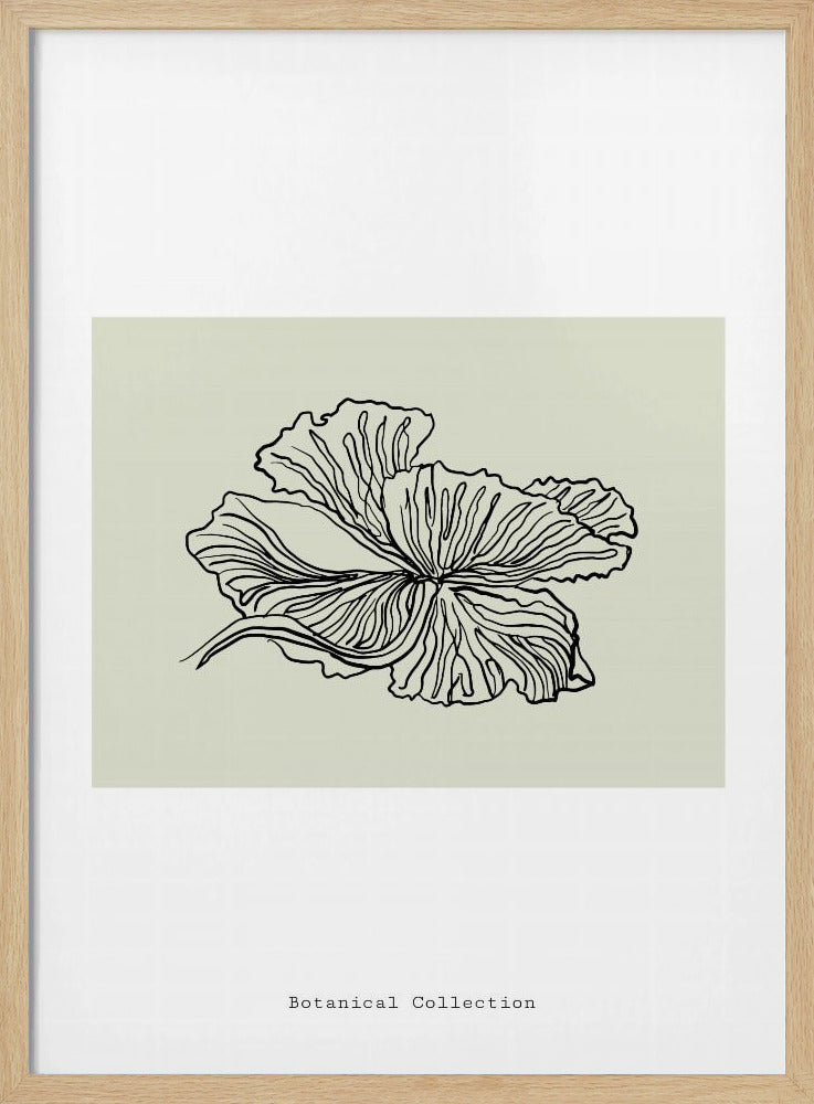 Gossamer Petals | Poster