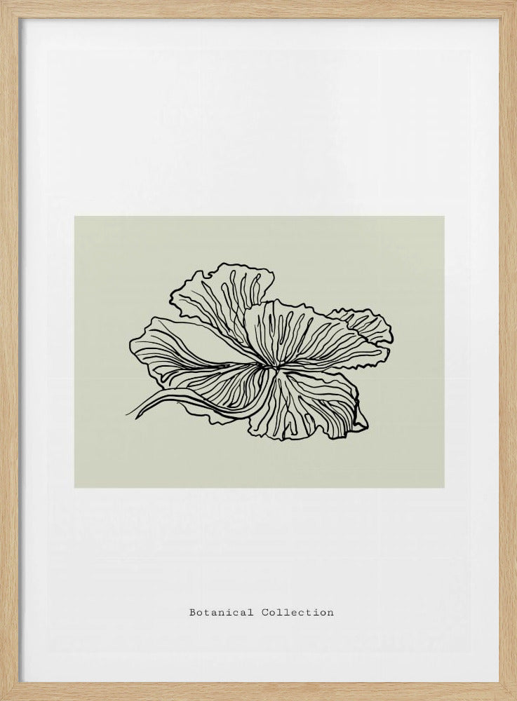 Gossamer Petals | Poster