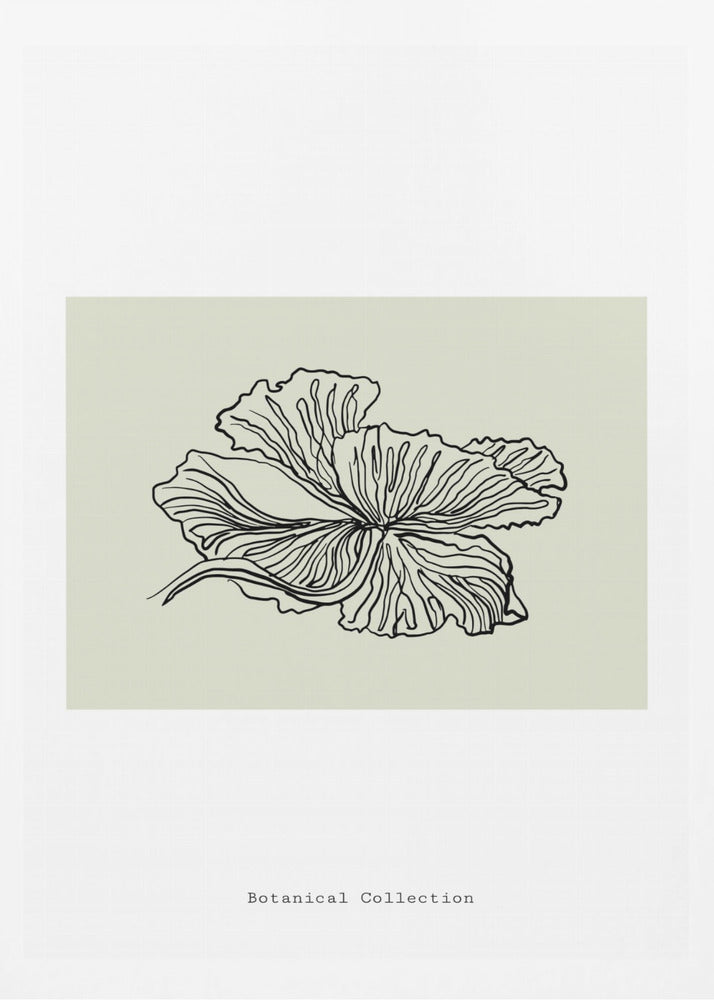 Gossamer Petals | Poster