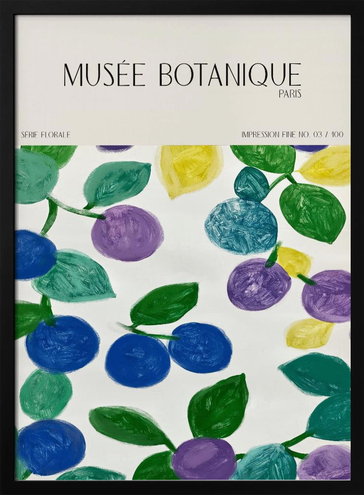 Museebotaniqueno11 | Poster