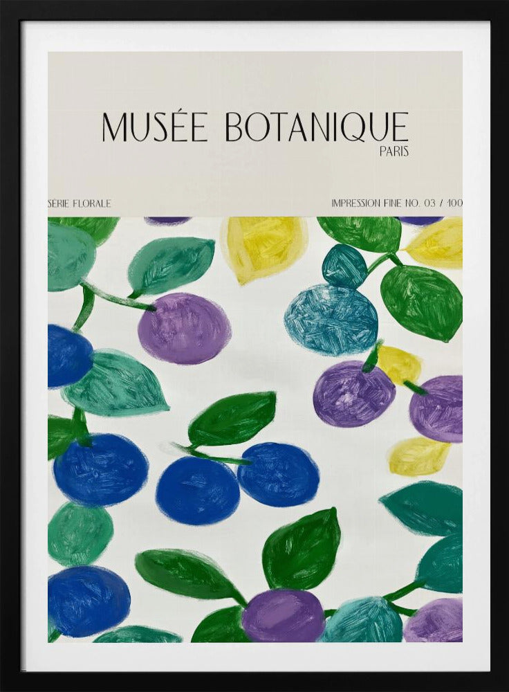 Museebotaniqueno11 | Poster