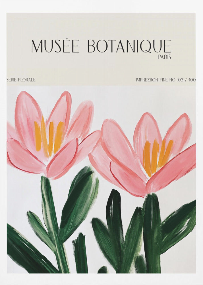 Museebotaniqueno18 | Poster