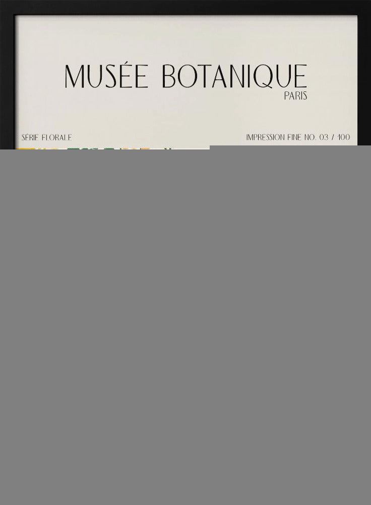 Museebotaniqueno29 | Poster