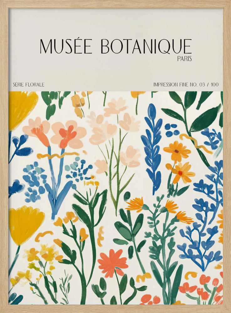 Museebotaniqueno29 | Poster