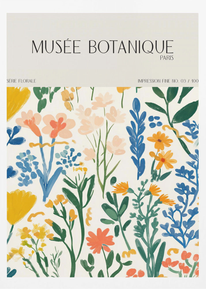Museebotaniqueno29 | Poster
