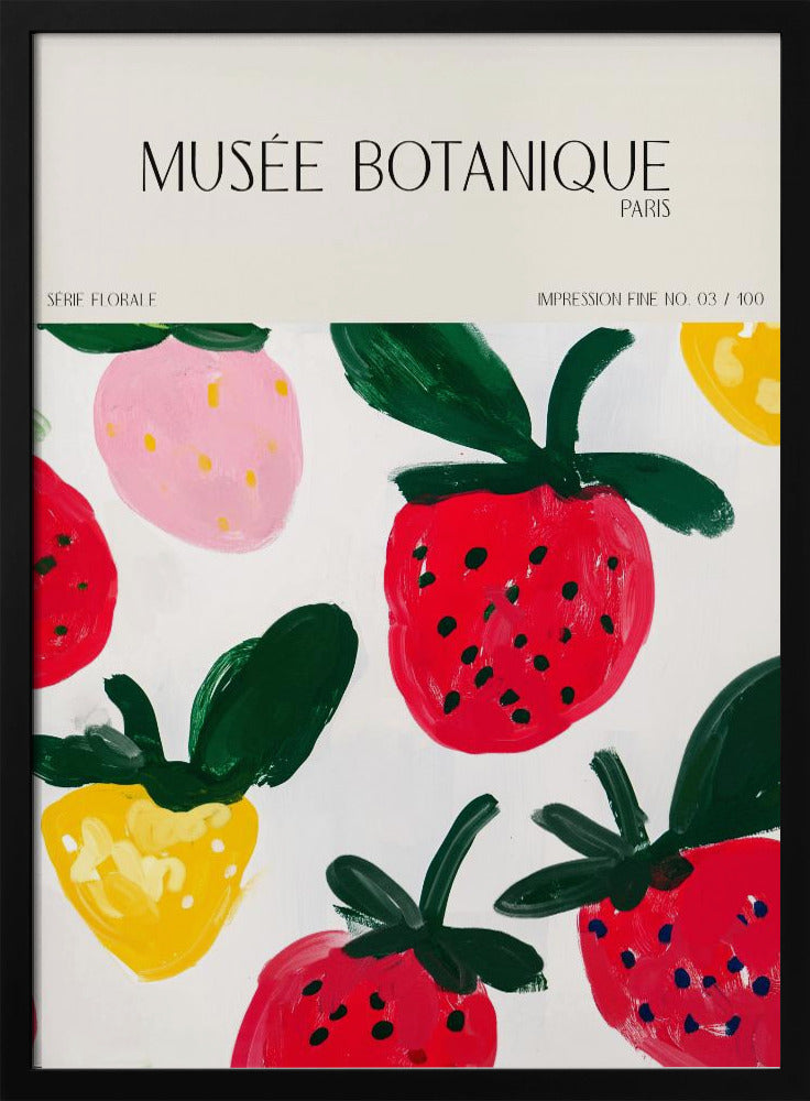 Museebotaniqueno35 | Poster