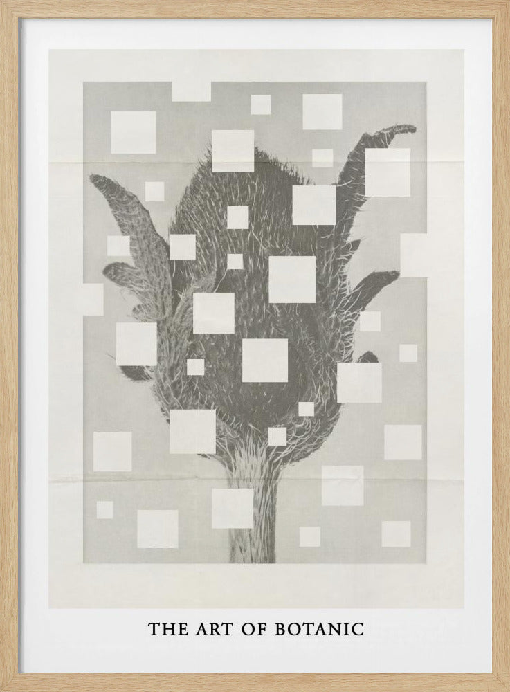 The art of botanic No.3 | Poster
