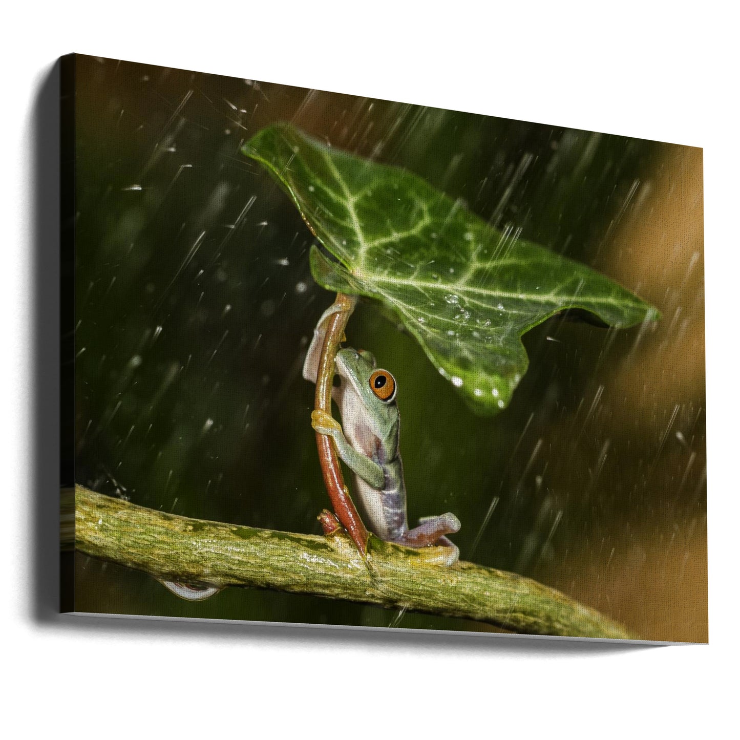 Ohh Noo :( It's Raining | Canvas