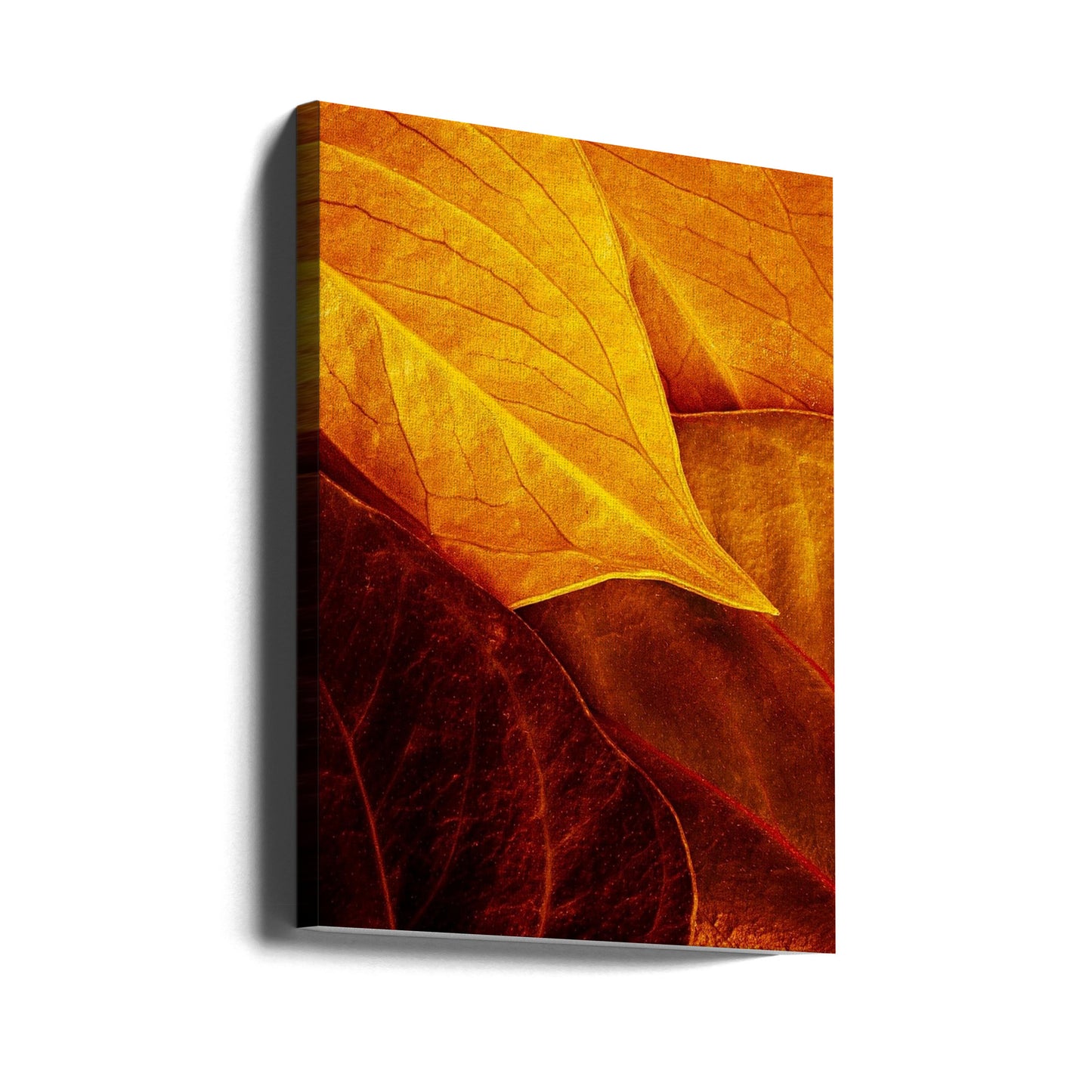 Feuilles | Tableaux sur Toile