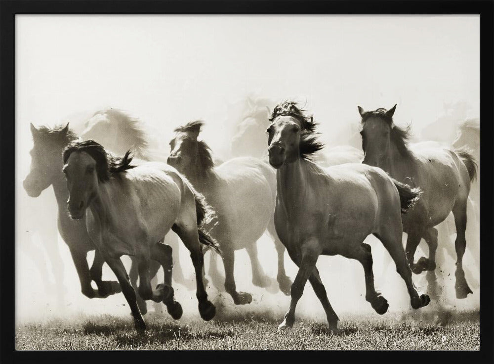 Cheval | Posters - Affiche Artistique