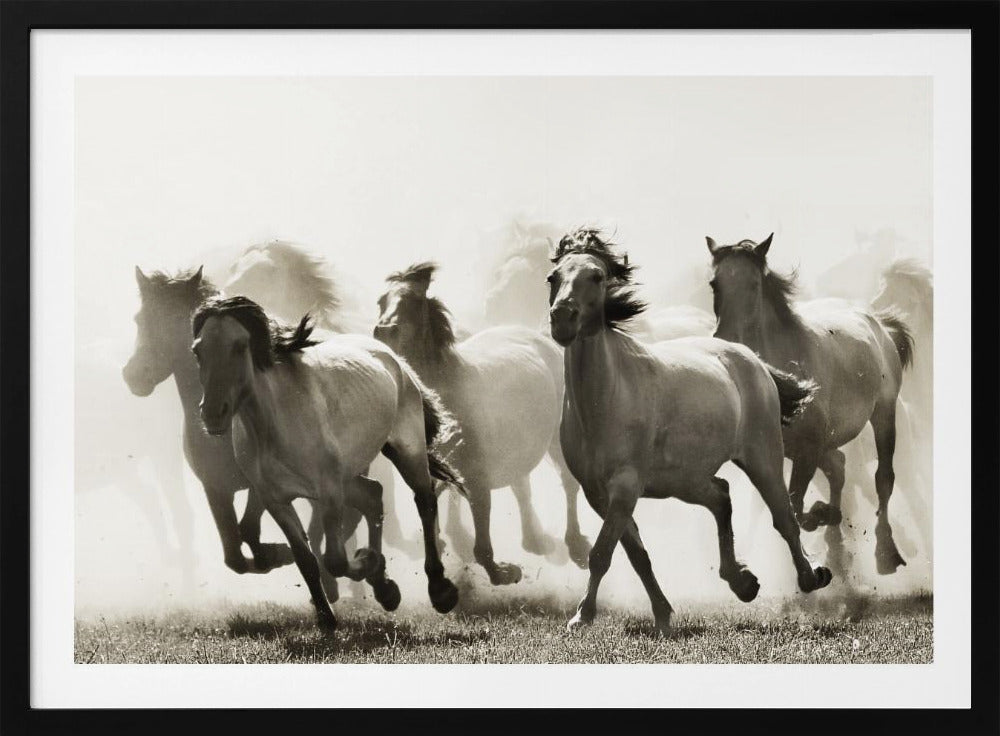 Cheval | Posters - Affiche Artistique