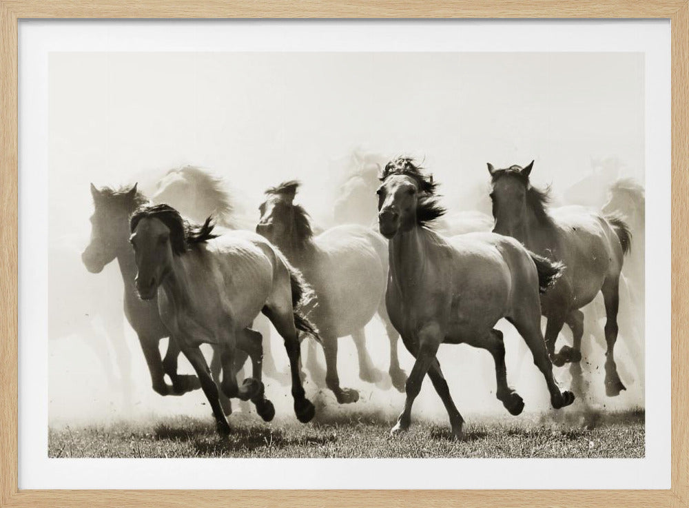Cheval | Posters - Affiche Artistique